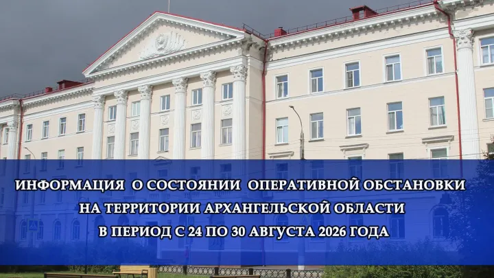 В Архангельской области полиция зафиксировала 118 преступлений и 183 ДТП — Архангельск Сейчас