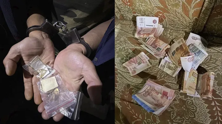 В Вилегодском округе задержали подозреваемого в краже денег и золота из дома пенсионера — Архангельск Сейчас