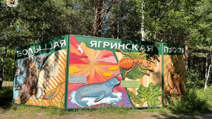 На острове Ягры создали семейный экологический маршрут «Большая Ягринская тропа» — Архангельск Сейчас