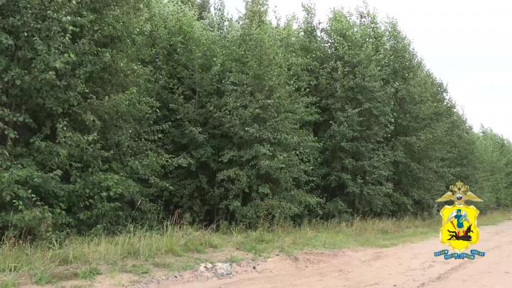 Убийство женщины раскрыто по горячим следам — Архангельск Сейчас
