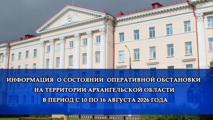 Безопасность Архангельской области: криминальная и дорожная обстановка — Архангельск Сейчас