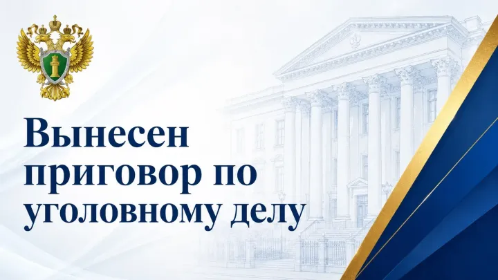 Жителя Няндомского района осудили за дачу взятки должностному лицу — Архангельск Сейчас