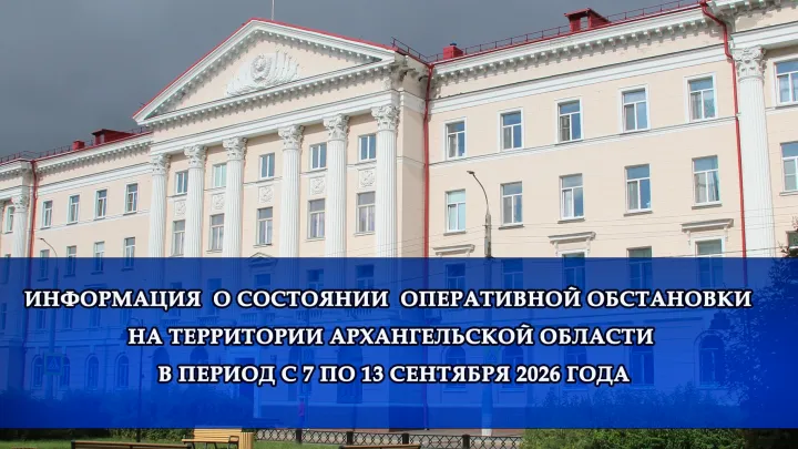В Архангельской области зарегистрировали 148 преступлений и 228 ДТП — Архангельск Сейчас