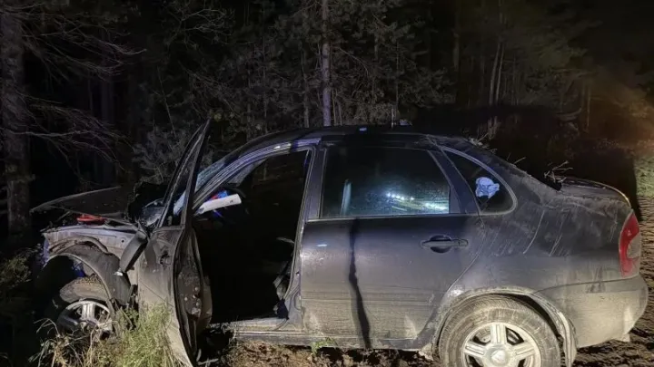 В Шенкурском округе задержали подозреваемого в угоне «Лады» — Архангельск Сейчас