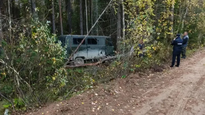 В Пинежском округе пьяный водитель УАЗа съехал в кювет и врезался в дерево — Архангельск Сейчас