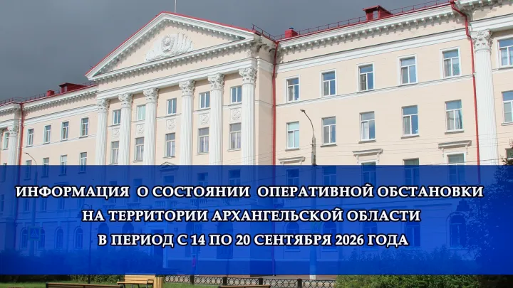 В Архангельской области за неделю зарегистрировали 135 преступлений и 267 ДТП — Архангельск Сейчас