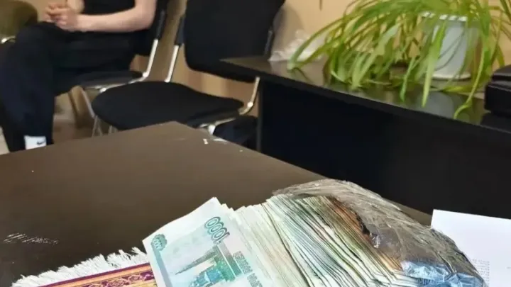 Жителю Московской области назначили штраф за мошенничество с деньгами пенсионерки в Коряжме — Архангельск Сейчас