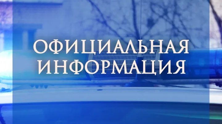 Полиция проводит проверку после видео с избиением несовершеннолетней в Архангельске — Архангельск Сейчас