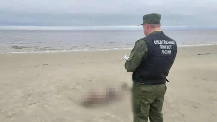 В Белом море перевернулась лодка с архангелогородцами: один человек погиб — Архангельск Сейчас