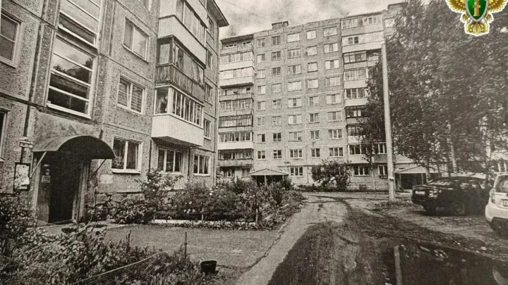 В Архангельске в суд направили дело подростка по обвинению в мошенничестве — Архангельск Сейчас