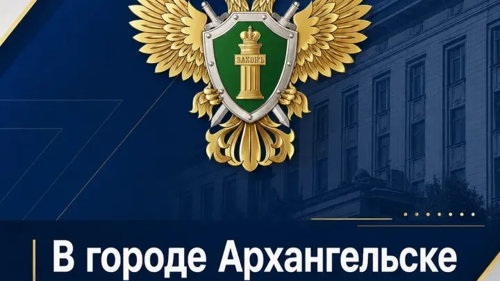 В Архангельске руководителя организации осудили за сокрытие средств от взыскания налогов — Архангельск Сейчас