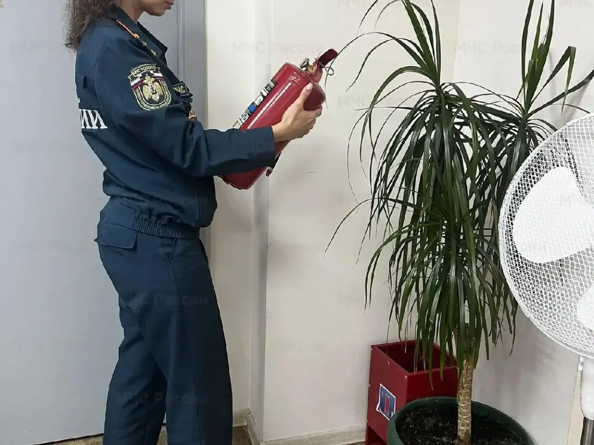 Выборы в Архангельской области прошли без чрезвычайных ситуаций