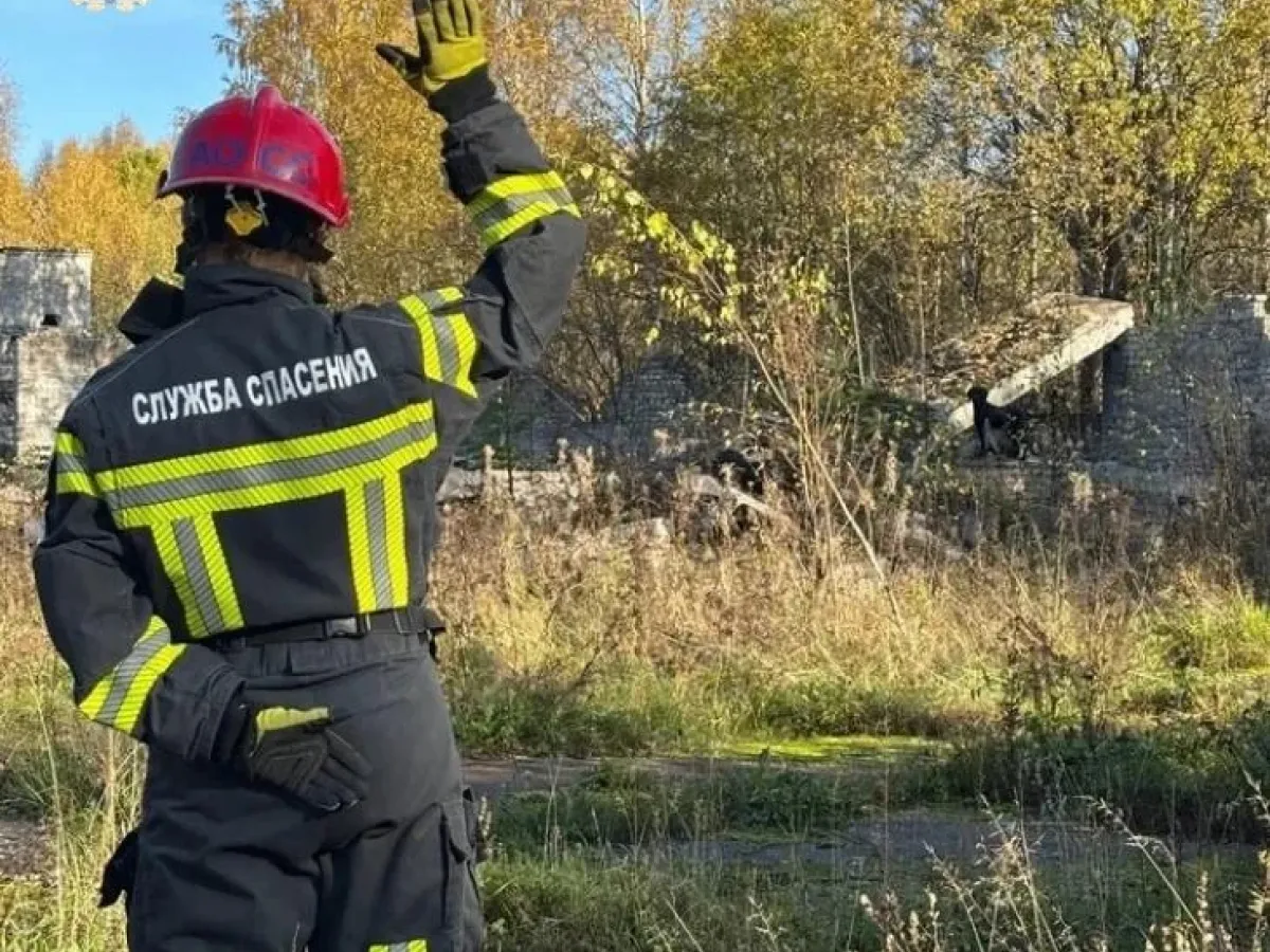 Кинологические расчеты Службы спасения прошли аттестацию в условиях завала