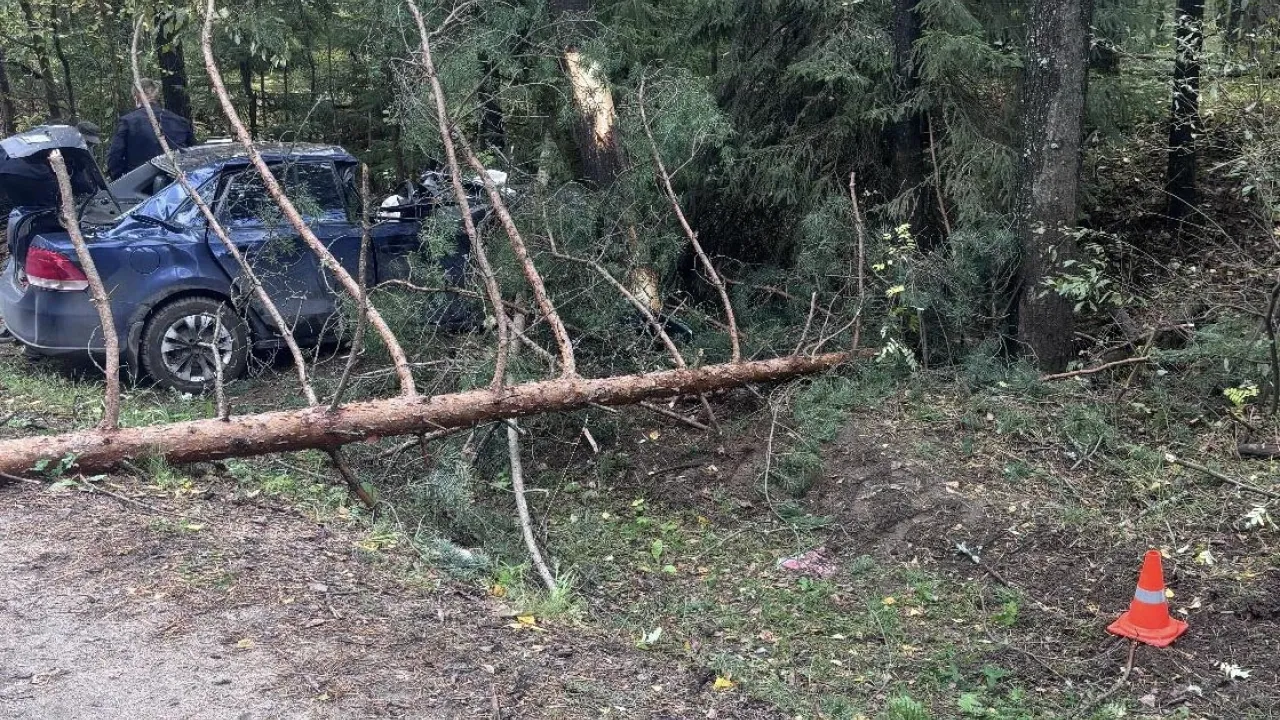 В Вельском районе в ДТП на трассе погибла женщина-водитель — Архангельск Сейчас