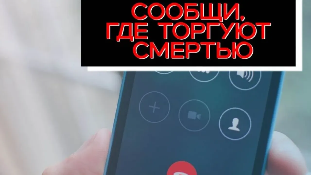 В Архангельской области пройдет акция «Сообщи, где торгуют смертью» — Архангельск Сейчас