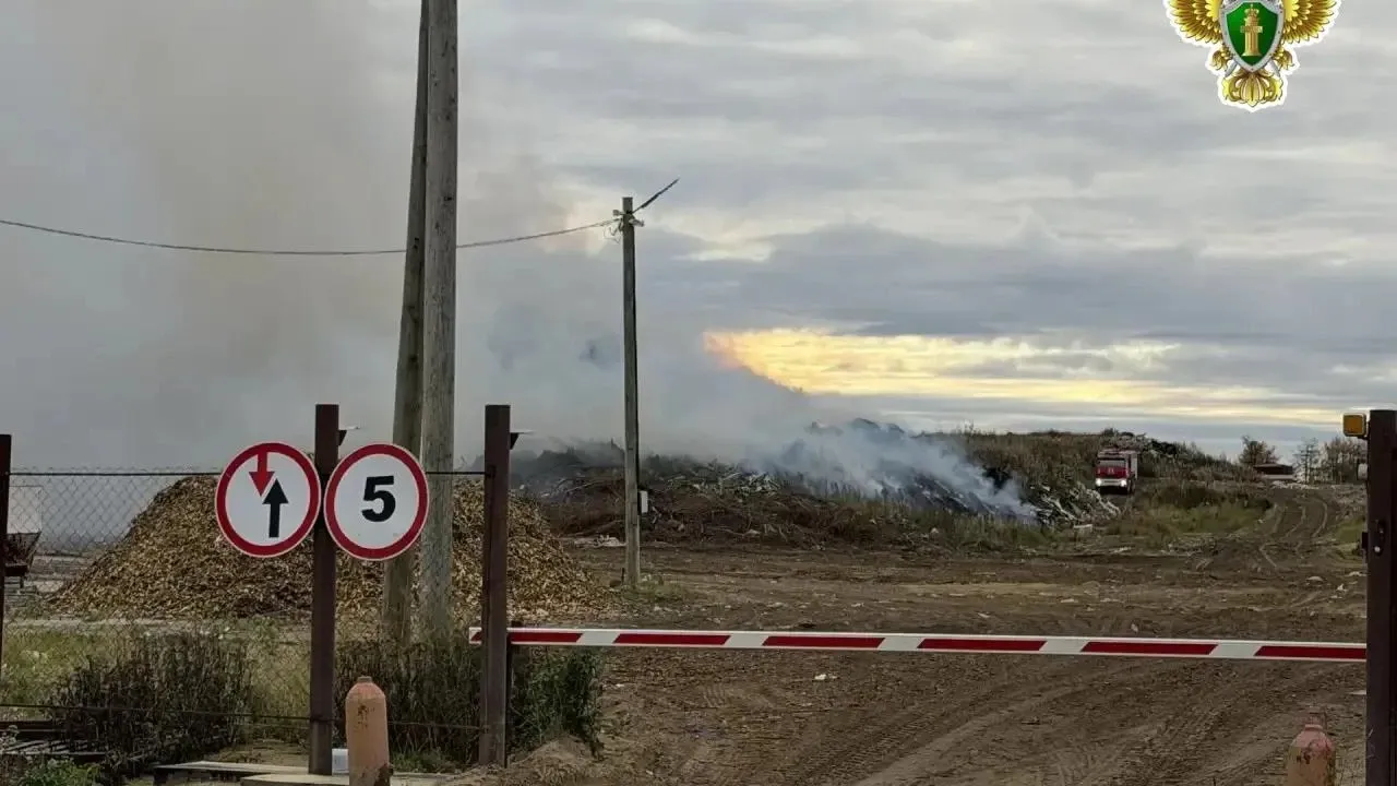 Прокуратура взяла на контроль возгорание на площадке размещения отходов под Нарьян-Маром — Архангельск Сейчас
