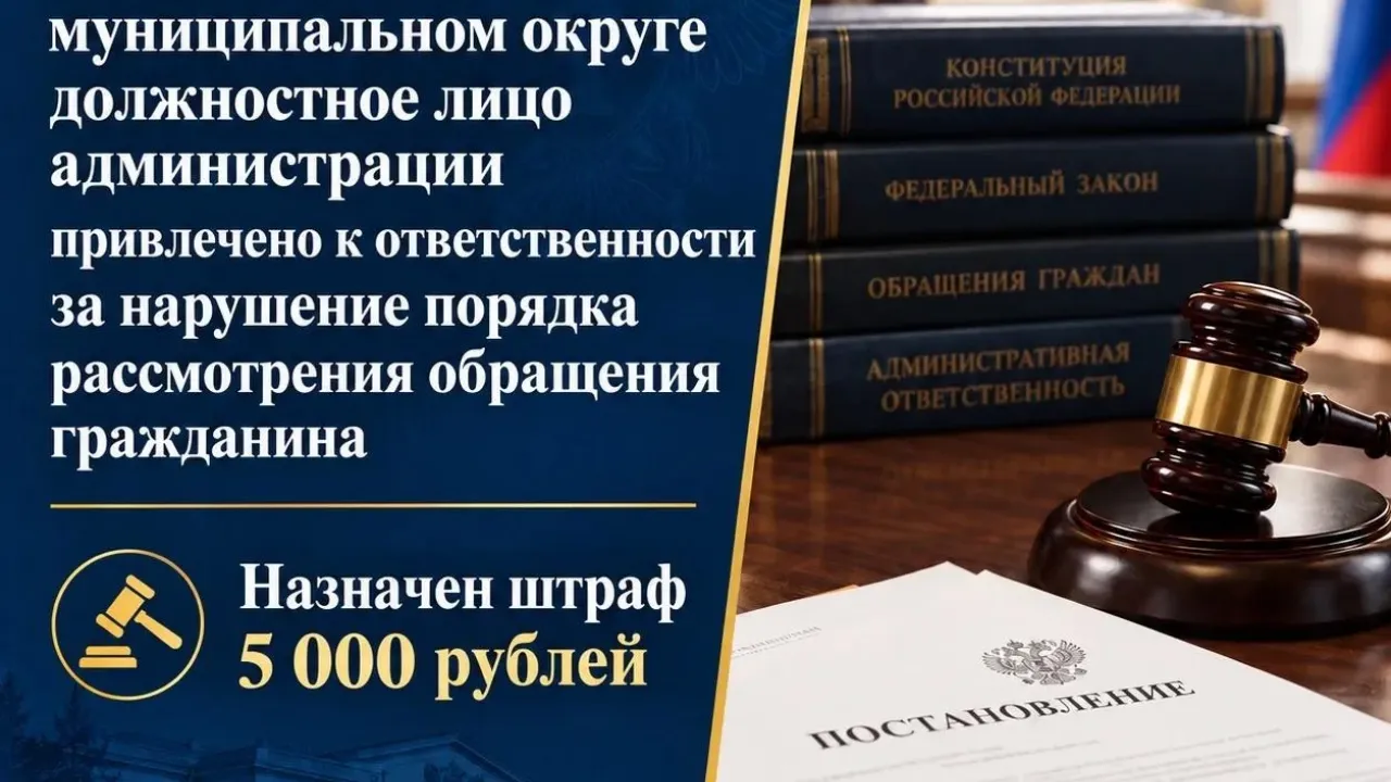В Вилегодском округе чиновника оштрафовали за поздний ответ на обращение — Архангельск Сейчас