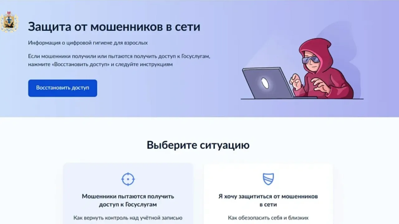На Госуслугах запустили сервис для защиты от мошенников в интернете — Архангельск Сейчас