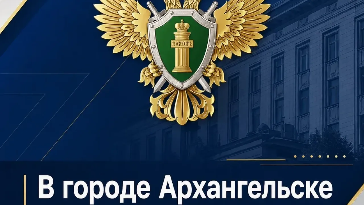 В Архангельске руководителя организации осудили за сокрытие средств от взыскания налогов — Архангельск Сейчас