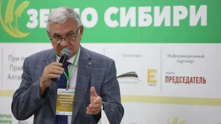 Александр Лукьянов рассказал на форуме «Зерно Сибири» о ходе уборочной — Барнаул Сейчас