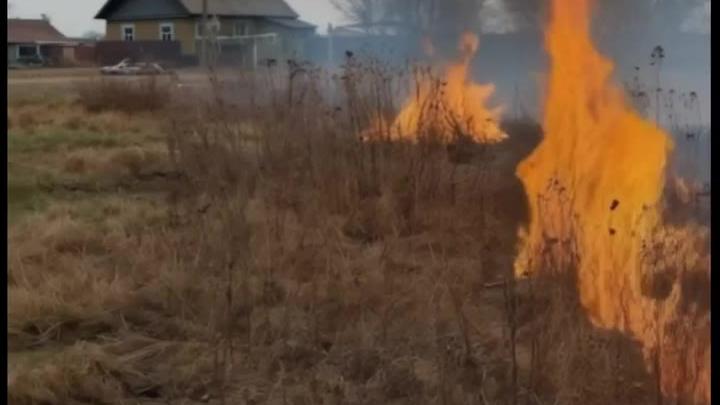 В Алтайском крае за сутки зафиксировали несколько возгораний сухой травы — Барнаул Сейчас