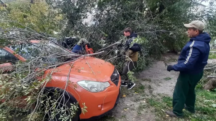 В Барнауле городские службы устраняют последствия непогоды — Барнаул Сейчас