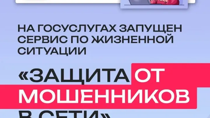На Госуслугах запустили сервис для защиты от мошенников в сети — Барнаул Сейчас