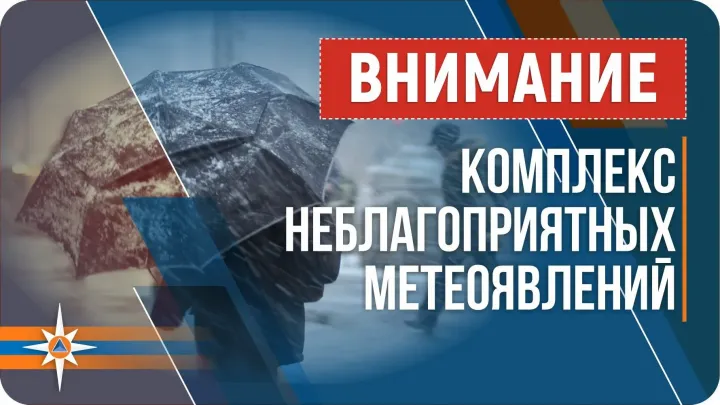 В Алтайском крае ожидаются сильный ветер и ночные дожди 8–9 октября — Барнаул Сейчас