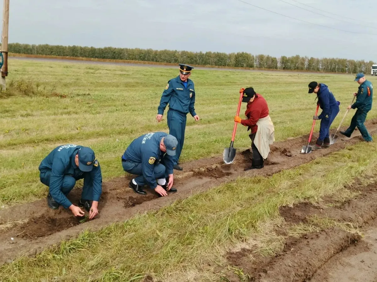 Спасатели Алтайского края присоединились к акции «Семейный лес»