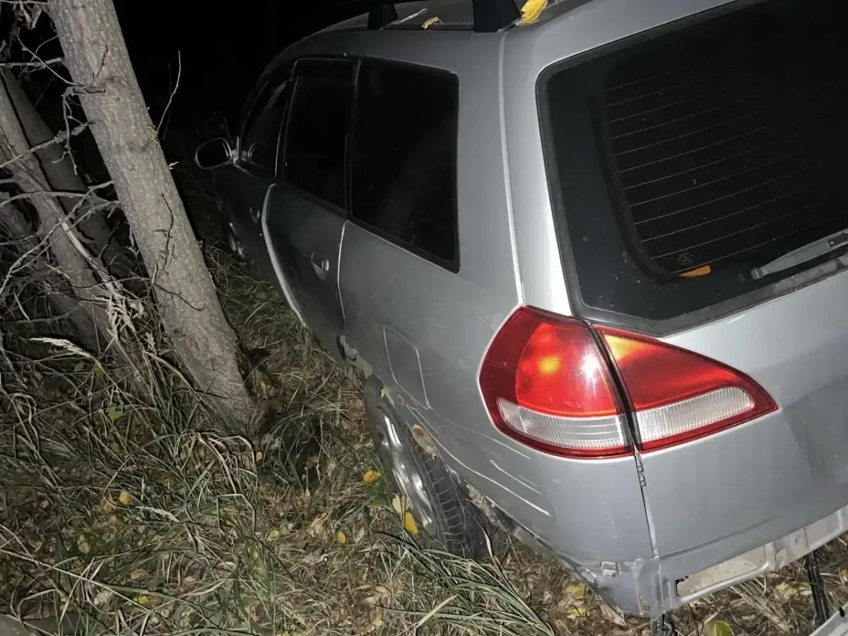 В Рубцовском районе возбудили дело после смертельного ДТП с гужевой повозкой