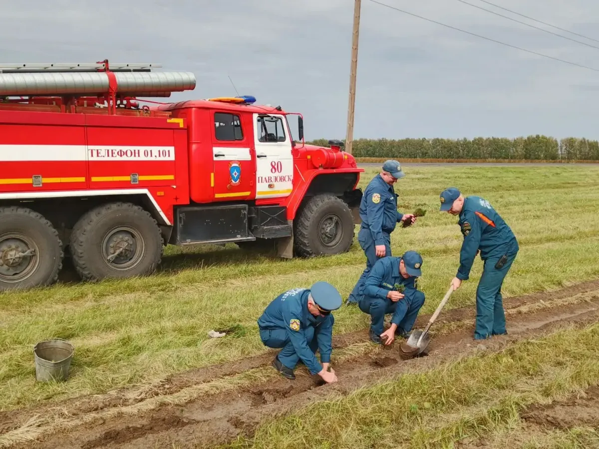 В Павловском районе продолжается акция «Семейный лес» с участием МЧС
