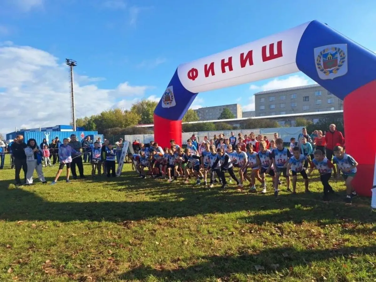 Более 300 юных спортсменов проверили подготовку на краевых соревнованиях в Заринске