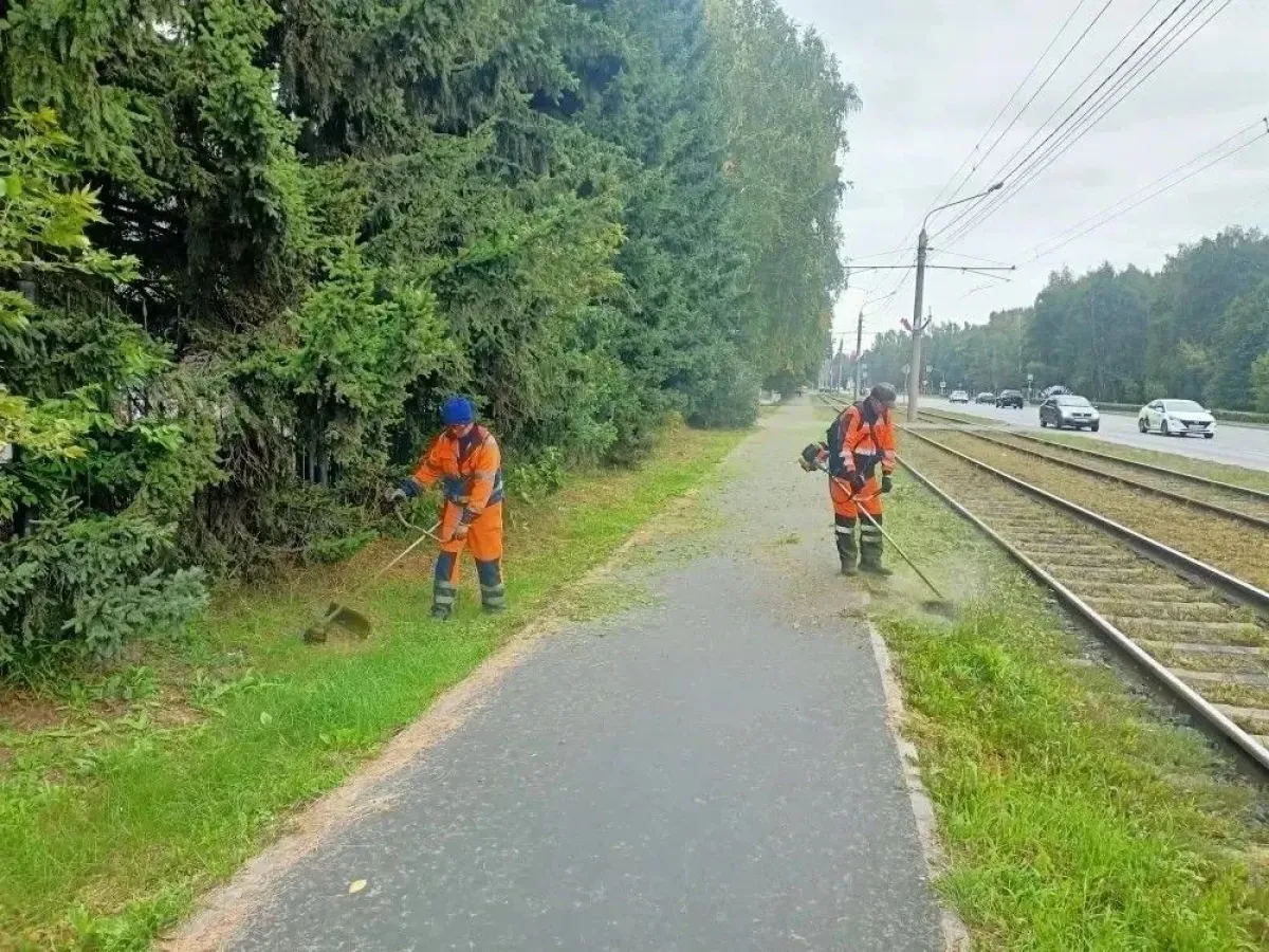 В Барнауле продолжаются плановые работы по покосу травы и благоустройству улиц