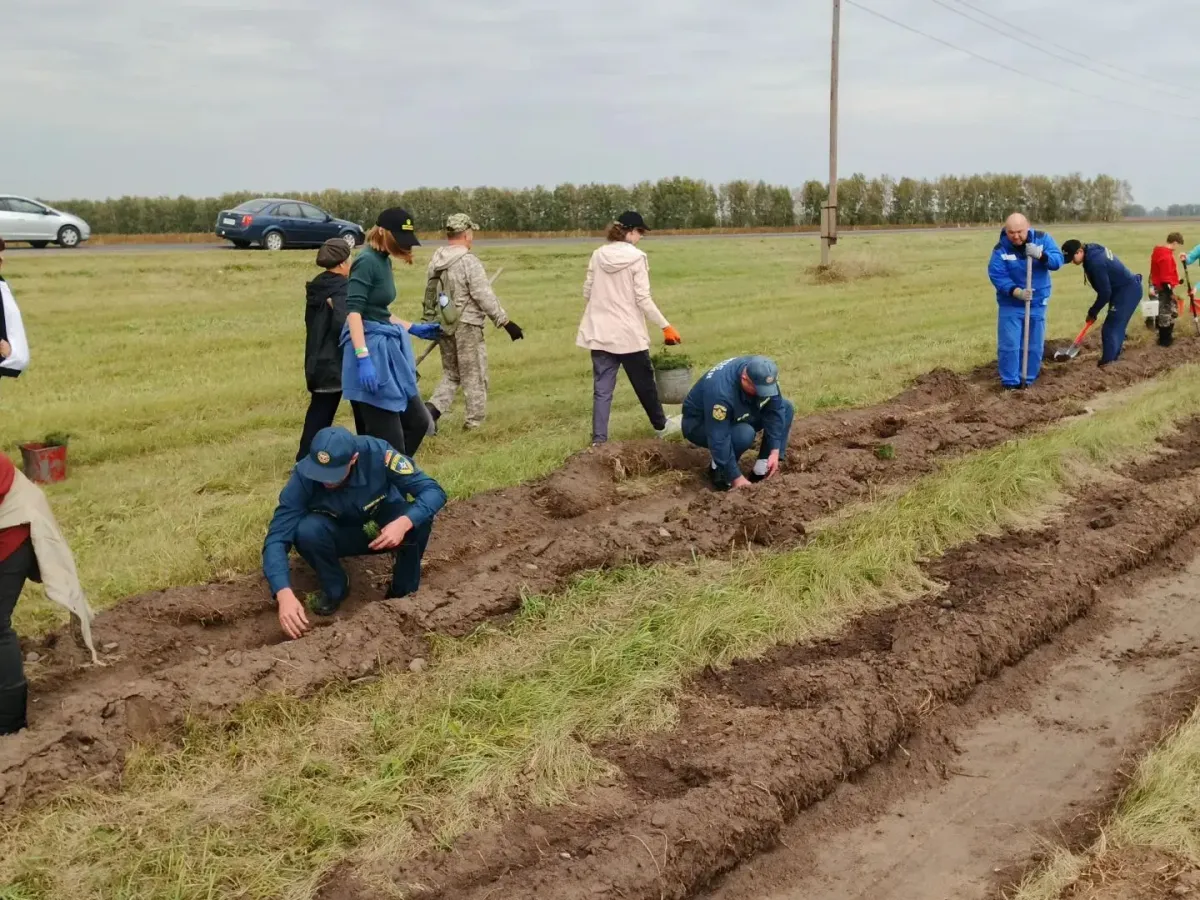 В Павловском районе продолжается акция «Семейный лес» с участием МЧС