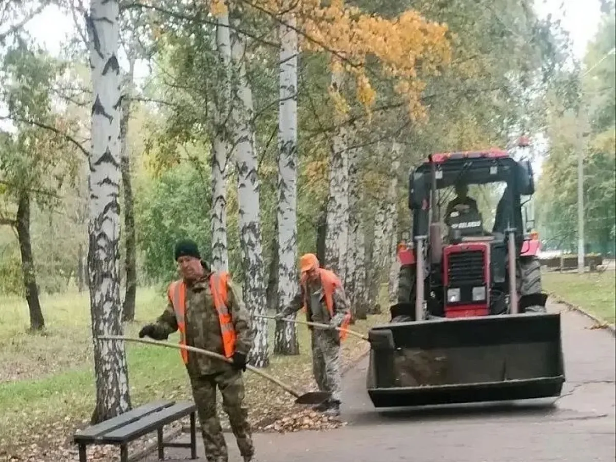 В Барнауле продолжаются плановые работы по покосу травы и благоустройству улиц