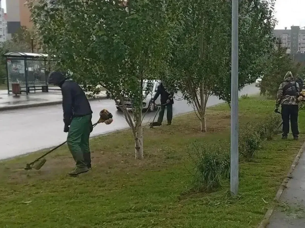 В Барнауле продолжаются плановые работы по покосу травы и благоустройству улиц