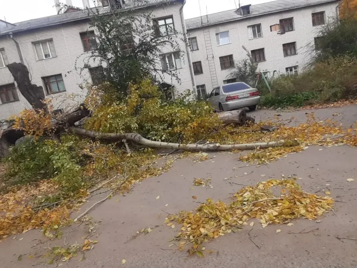 В Барнауле городские службы устраняют последствия непогоды