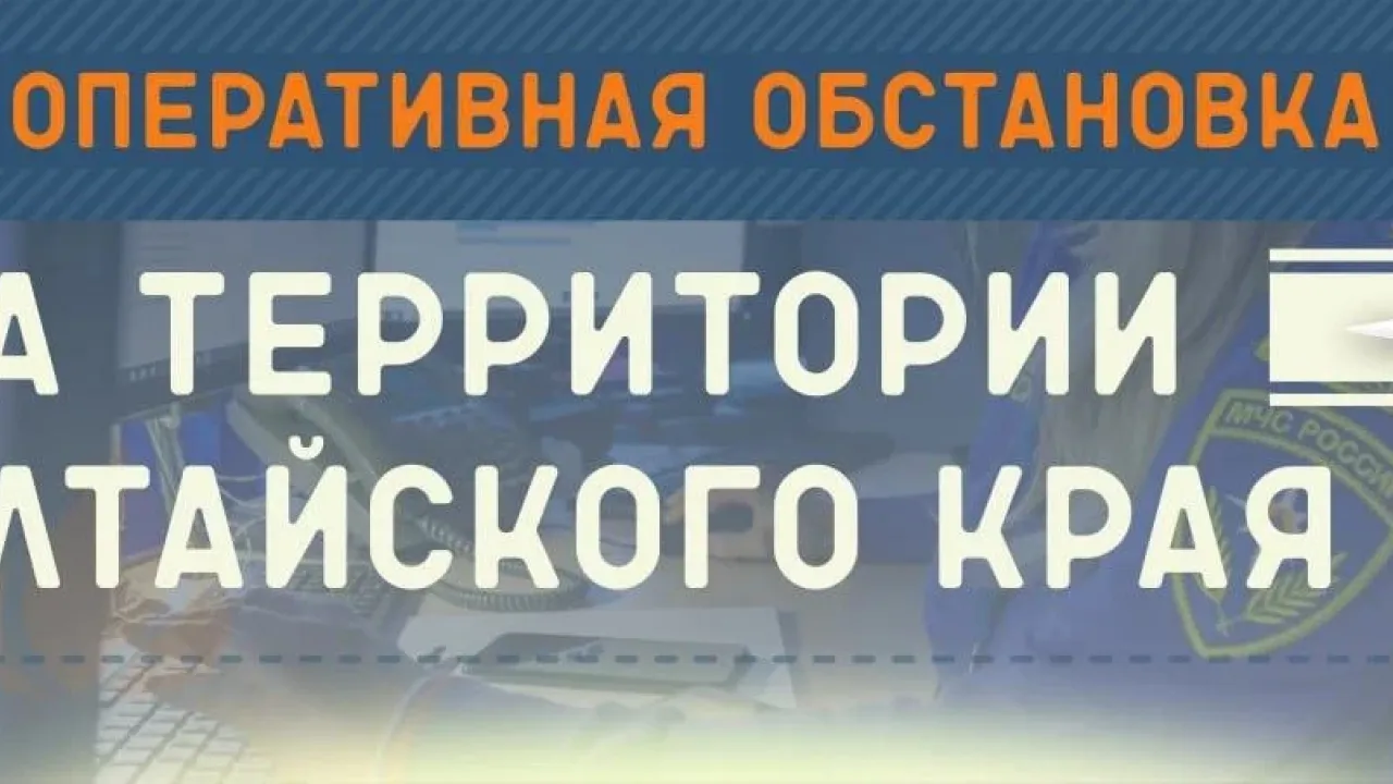В Алтайском крае за сутки ликвидировали 15 пожаров, два — в Барнауле — Барнаул Сейчас