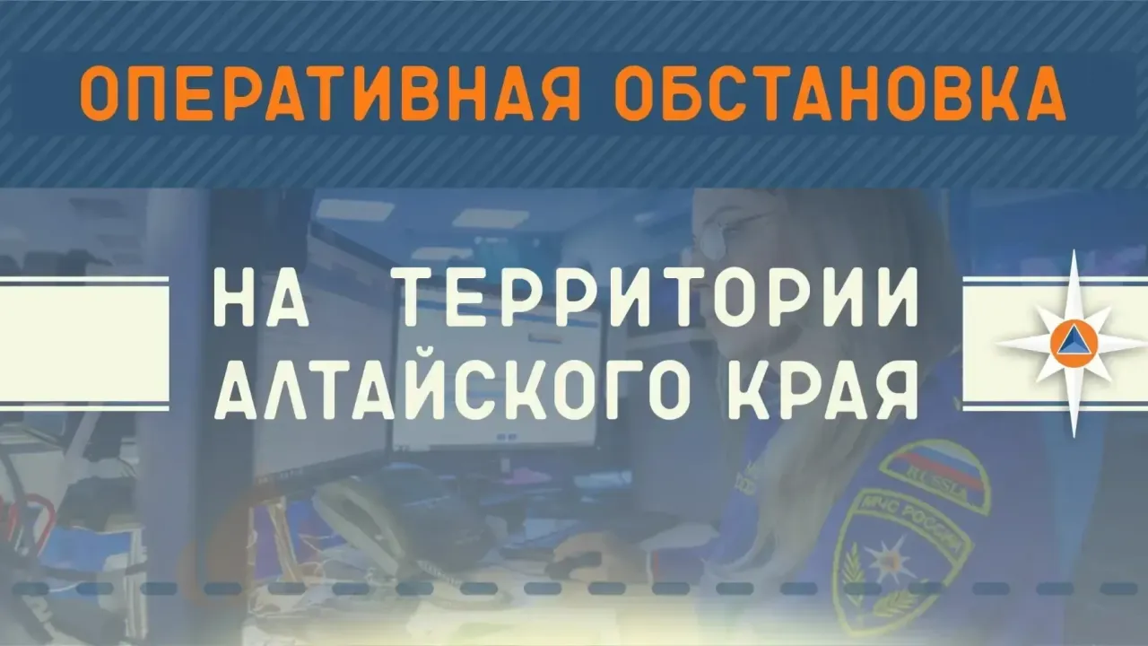 За сутки в Алтайском крае ликвидировали 12 пожаров, четыре из них — в Барнауле — Барнаул Сейчас