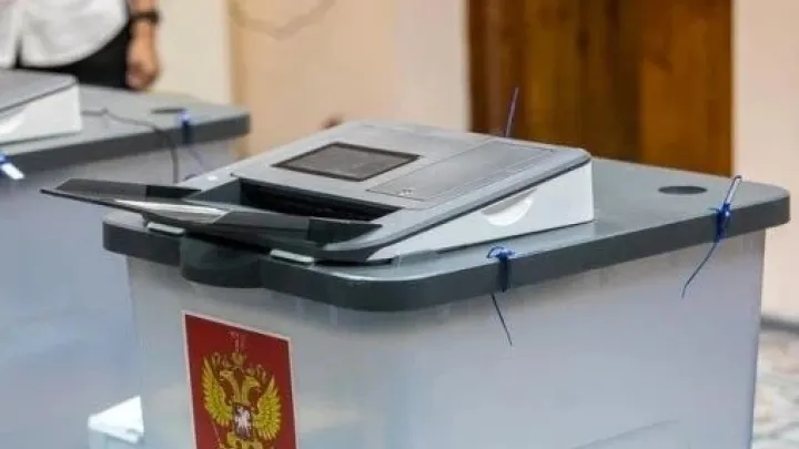 Белгородцы могут подать заявку на помощь волонтёра на выборах через «Госуслуги» — Белгород Сейчас