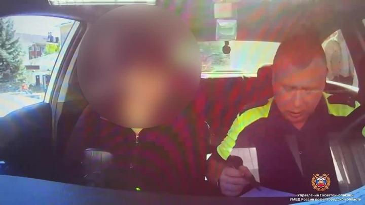 В Шебекинском округе возбудили дело из-за поддельных водительских прав — Белгород Сейчас