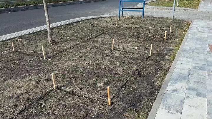 На улице Николая Чумичова высаживают около 1 000 кустов спиреи серой — Белгород Сейчас