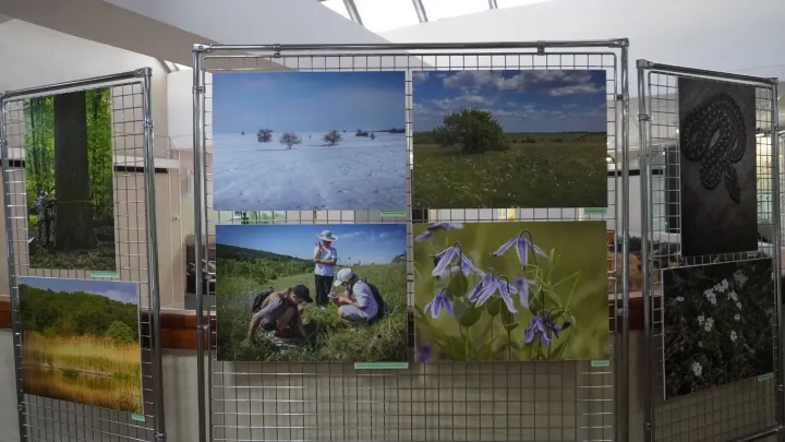 В Белгородском краеведческом музее открылась фотовыставка «На пути к природе» — Белгород Сейчас
