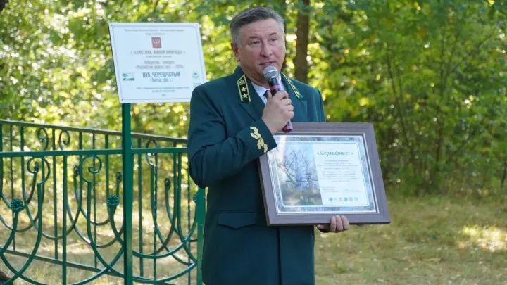 В Белгородской области открыли памятную табличку «Российскому дереву года - 2026» — Белгород Сейчас