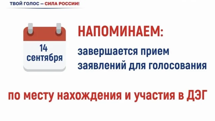 До 14 сентября принимают заявления на ДЭГ и «Мобильный избиратель» — Белгород Сейчас