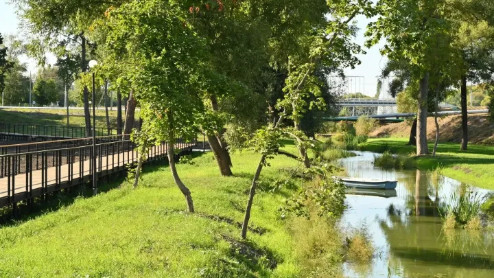 В Губкине создают природный парк «Бионика» на 62,7 гектара — Белгород Сейчас