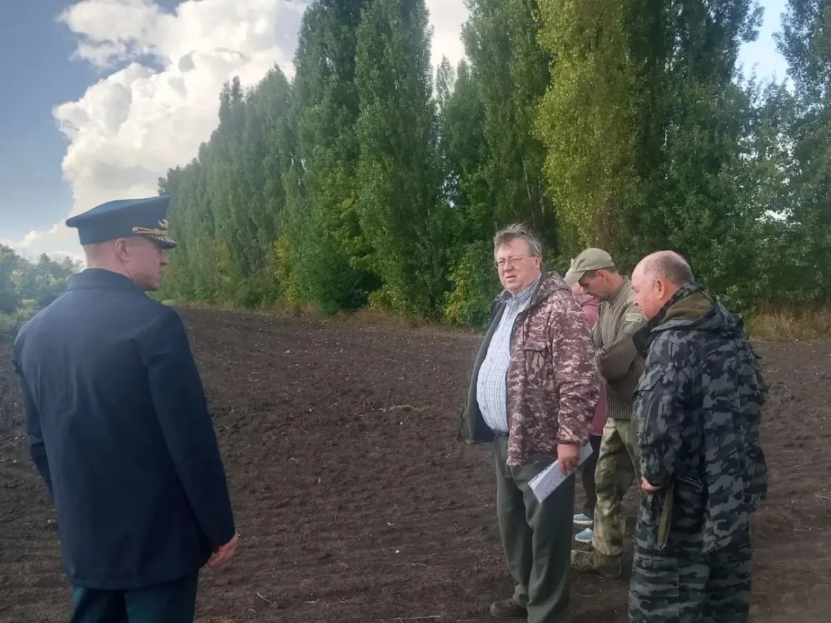В регионе создадут лесосеменные плантации дуба и сосны общей площадью 20 гектаров