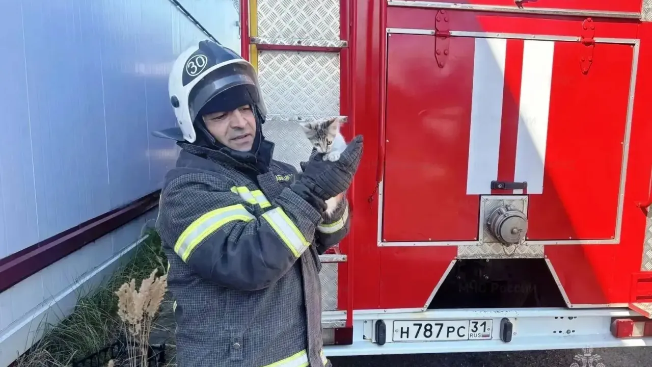 В Прохоровке сотрудники пожарно-спасательной части спасли котёнка из дымохода