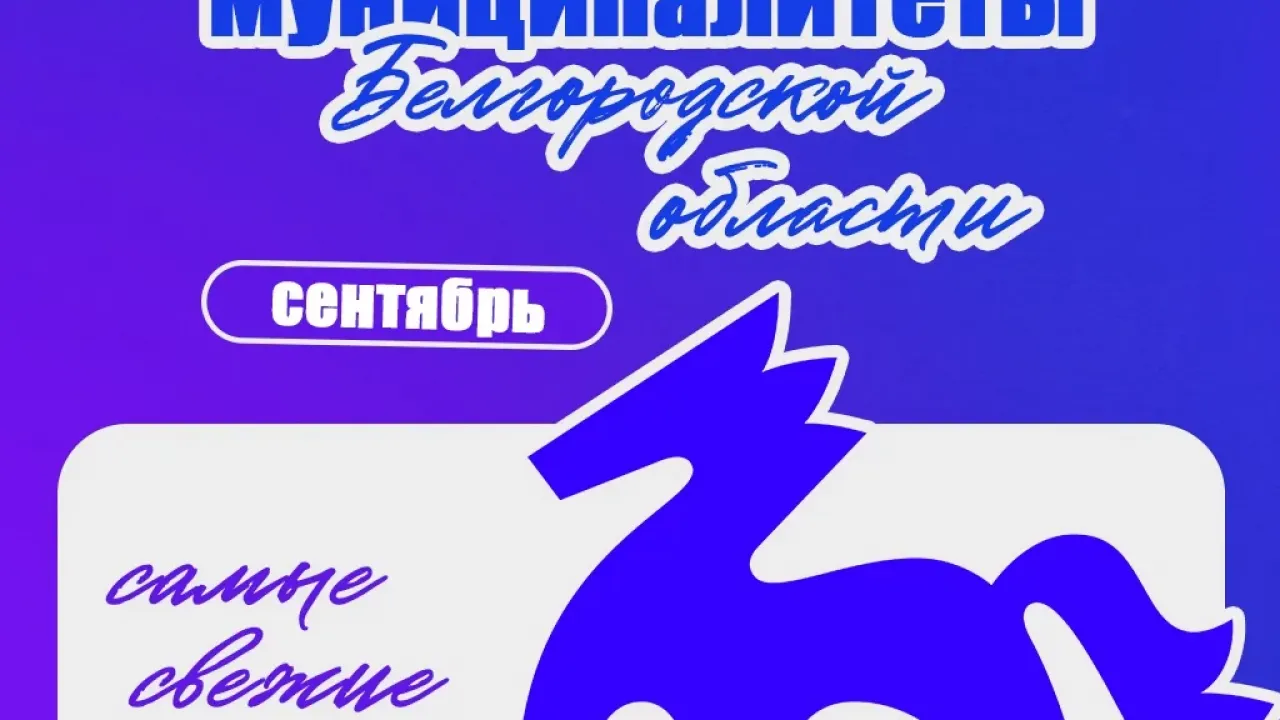 В муниципалитетах Белгородчины прошли спортивные, творческие и добровольческие события — Белгород Сейчас