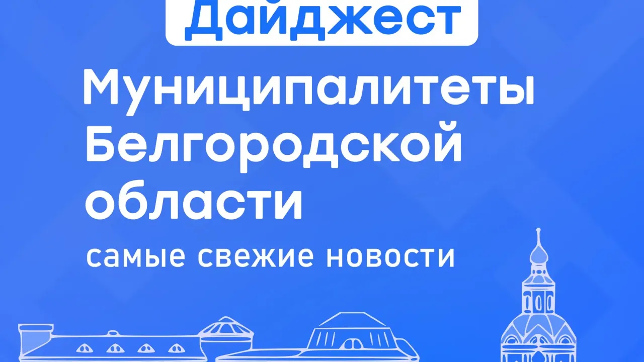 В муниципалитетах Белгородской области прошли молодёжные мероприятия и акции — Белгород Сейчас